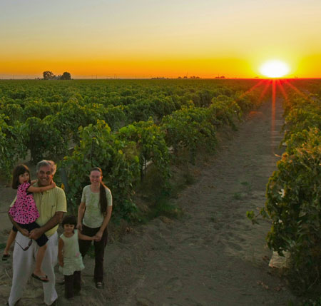 cg raisin farm